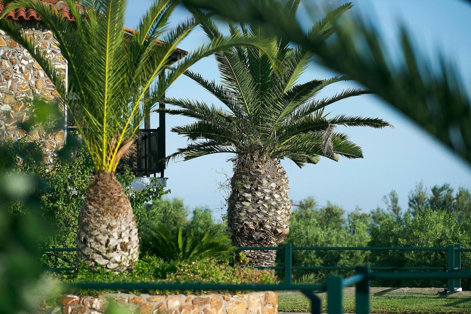Glavas Inn Hotel Gerakini Buitenkant foto