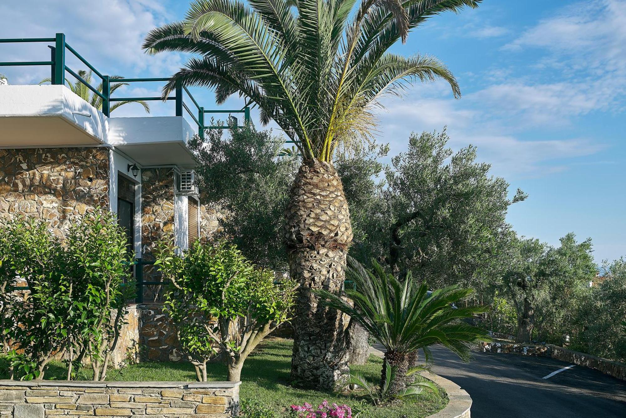 Glavas Inn Hotel Gerakini Buitenkant foto